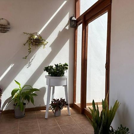 Private Villa With Pool In The Mountains Pájara エクステリア 写真